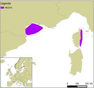 Zone couverte par les données en Méditerranée